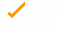 Cyber-guru
